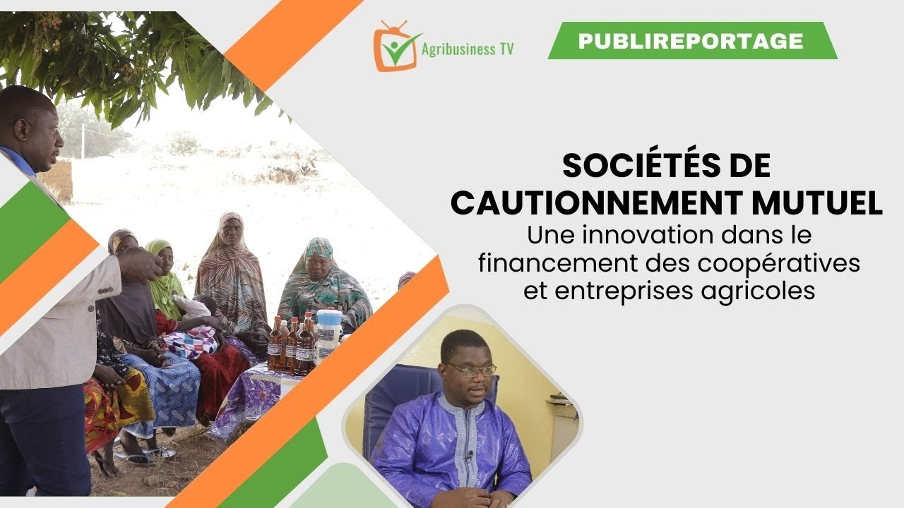 Burkina Faso : Soci&eacute;t&eacute; de Cautionnement Mutuel