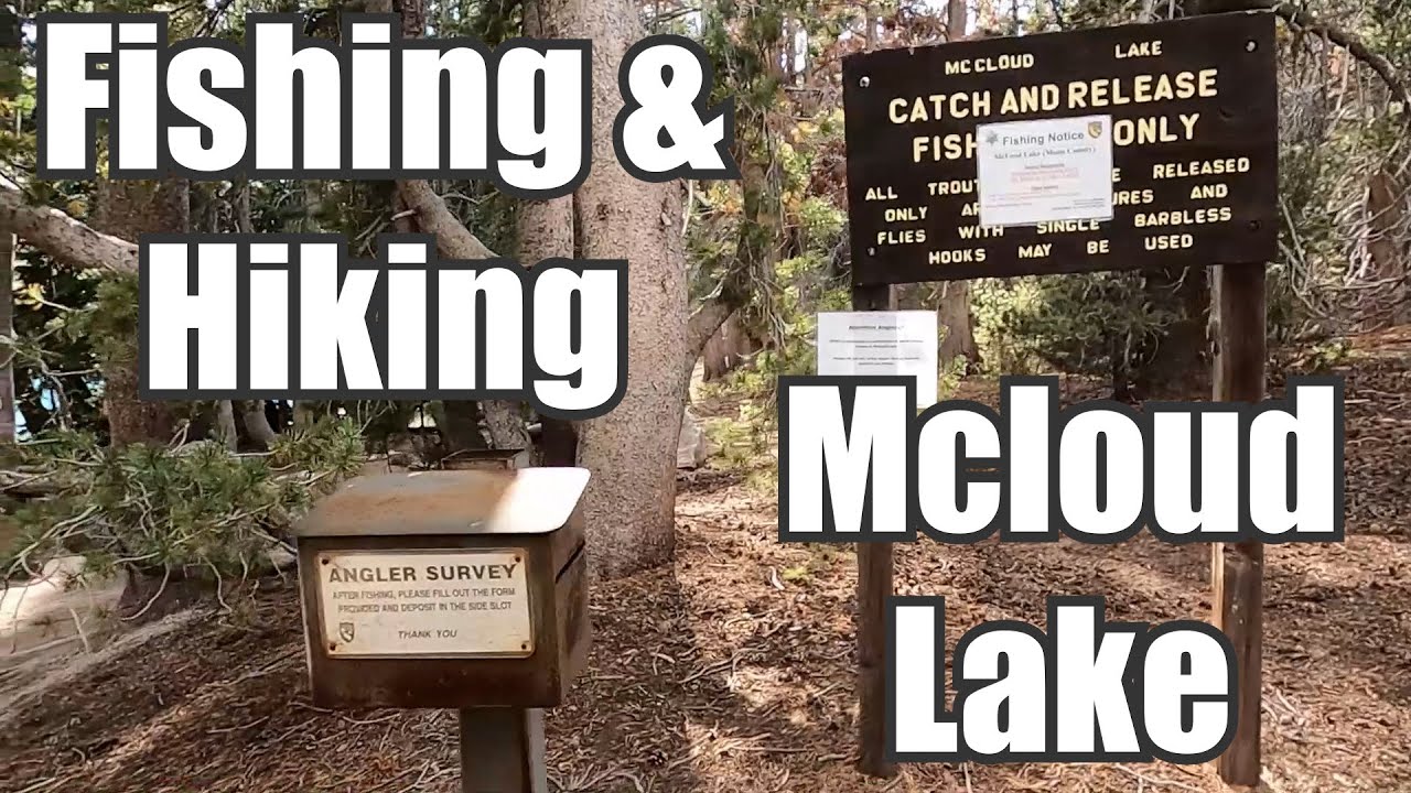 Hiking and Fishing McCloud Lake 2020 - Fly Fishing