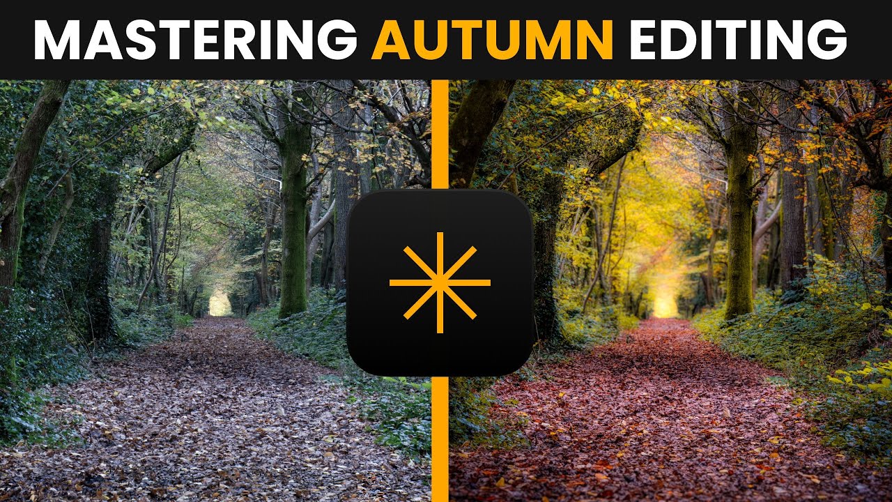Capture the Magic of Autumn: Editing Tips for Luminar NEO
