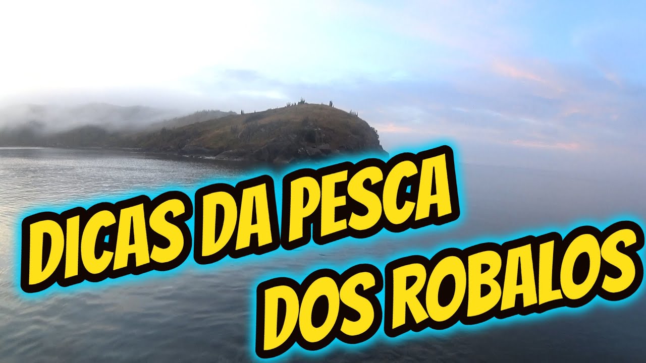 DiCAS  - DOMINGÃO DOS ROBALÕES - A PEDIDOS #pescaria #pescador #amador #amante #pesca #robalo #peixe