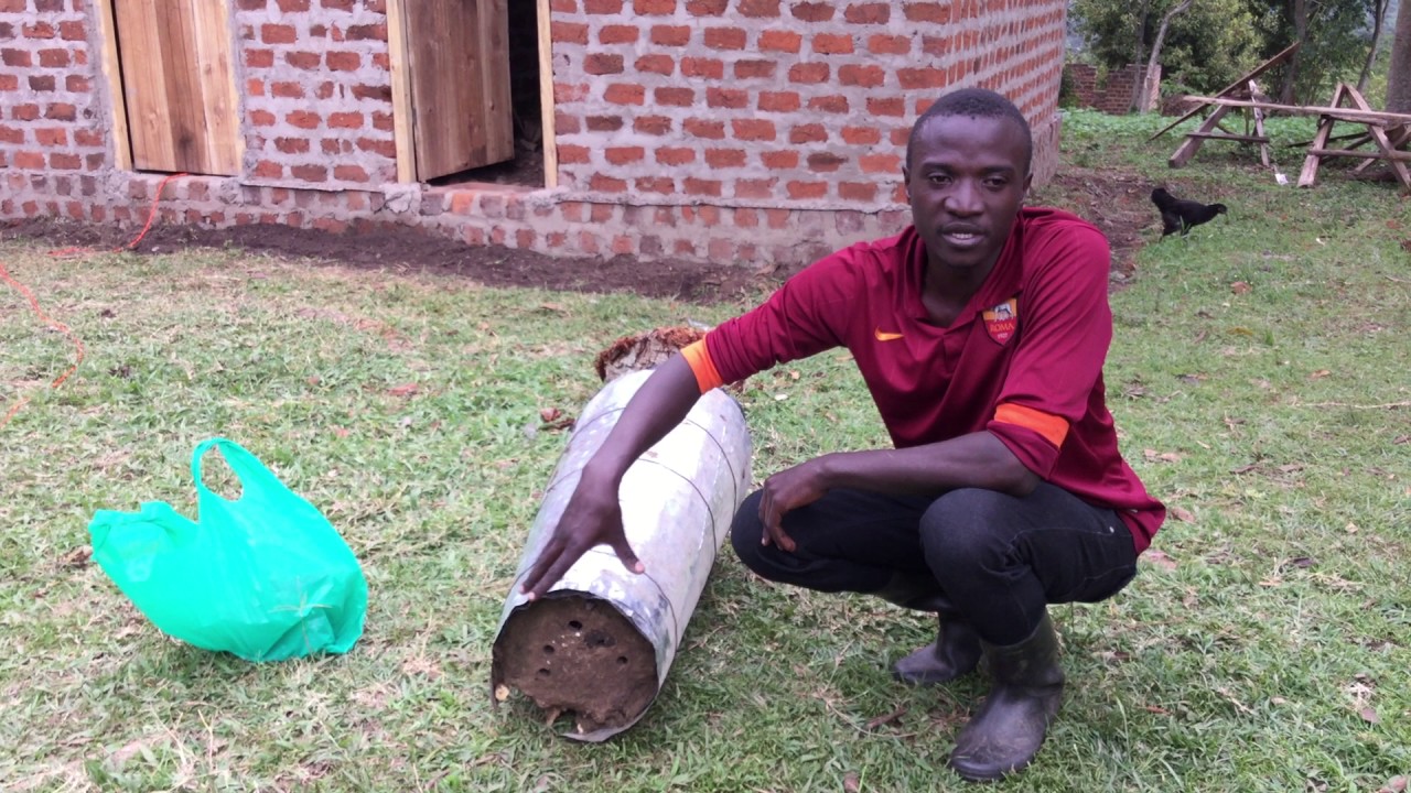Beekeeping in Uganda | A Growing Culture