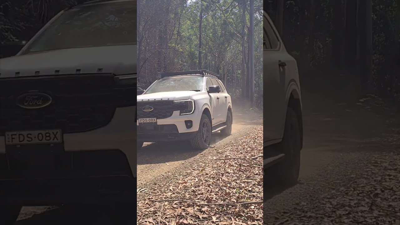 Exploring Beginner 4WD Tracks: Watagans National Park #offroad4x4 #adventuretime #aussielife