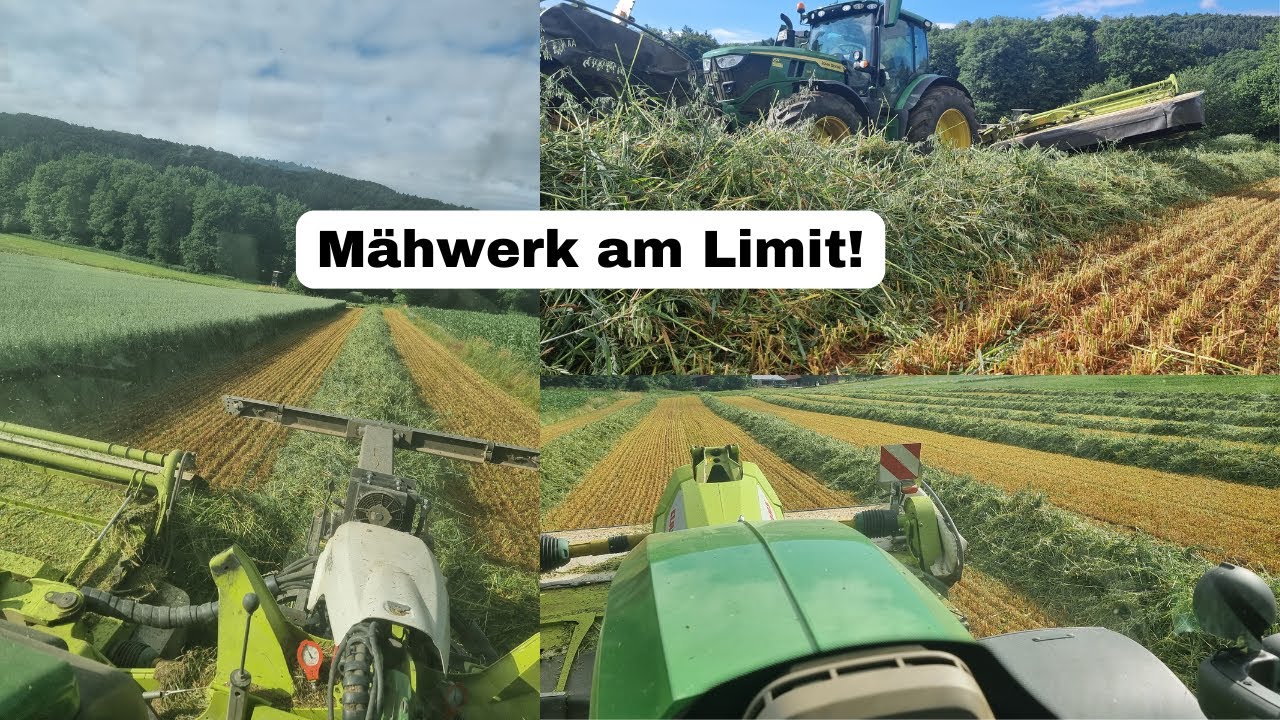 Mähwerk am Limit ! Let's Drive JD 6R185+Claas Disco 9200c