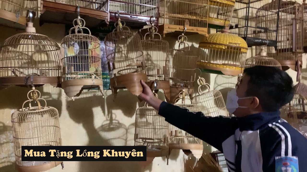 Tối Rồi Vẫn Đi Mua Tặng Em Lộc Hai Cái Lồng Chim Khuyên - bird cage / Chiến Ơi