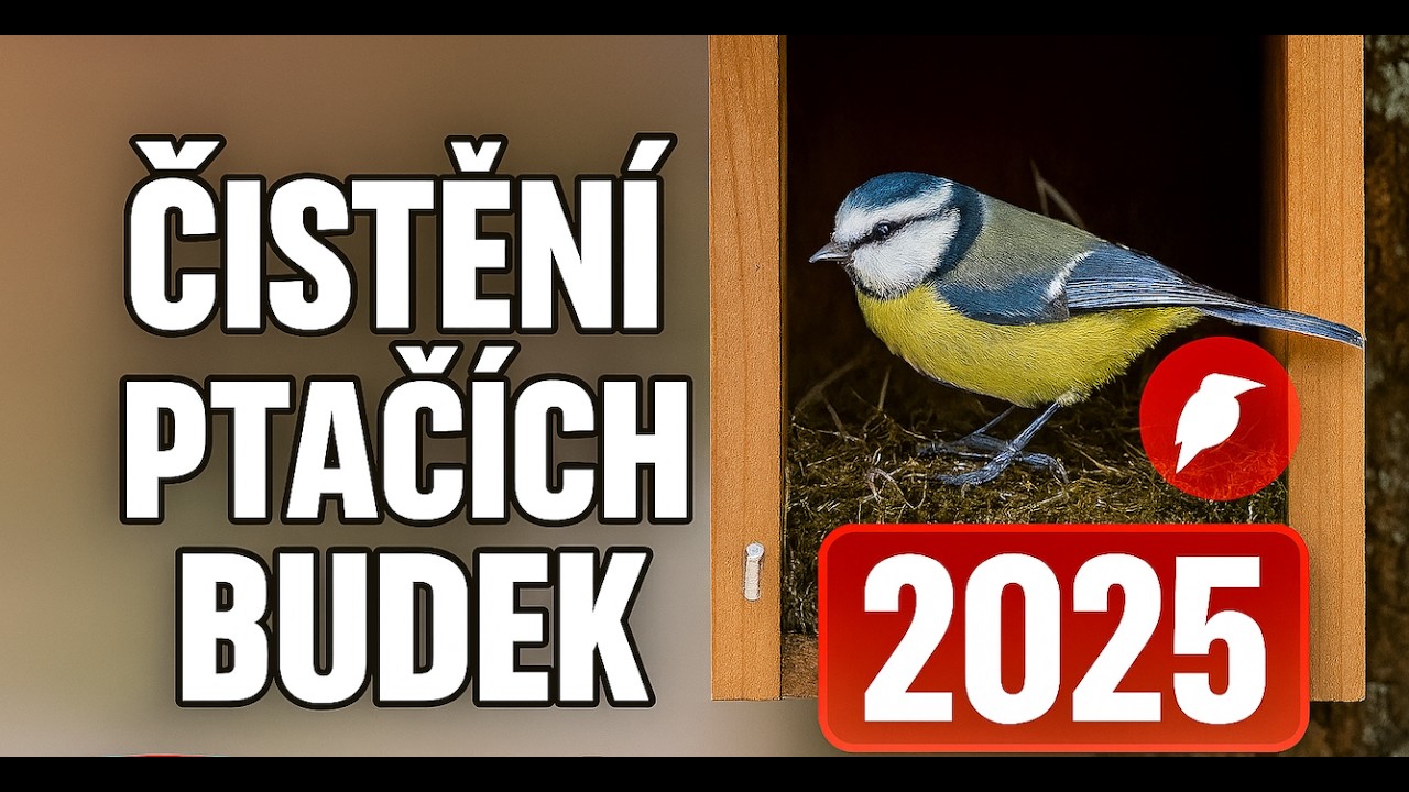 Čištění ptačích budek 2025