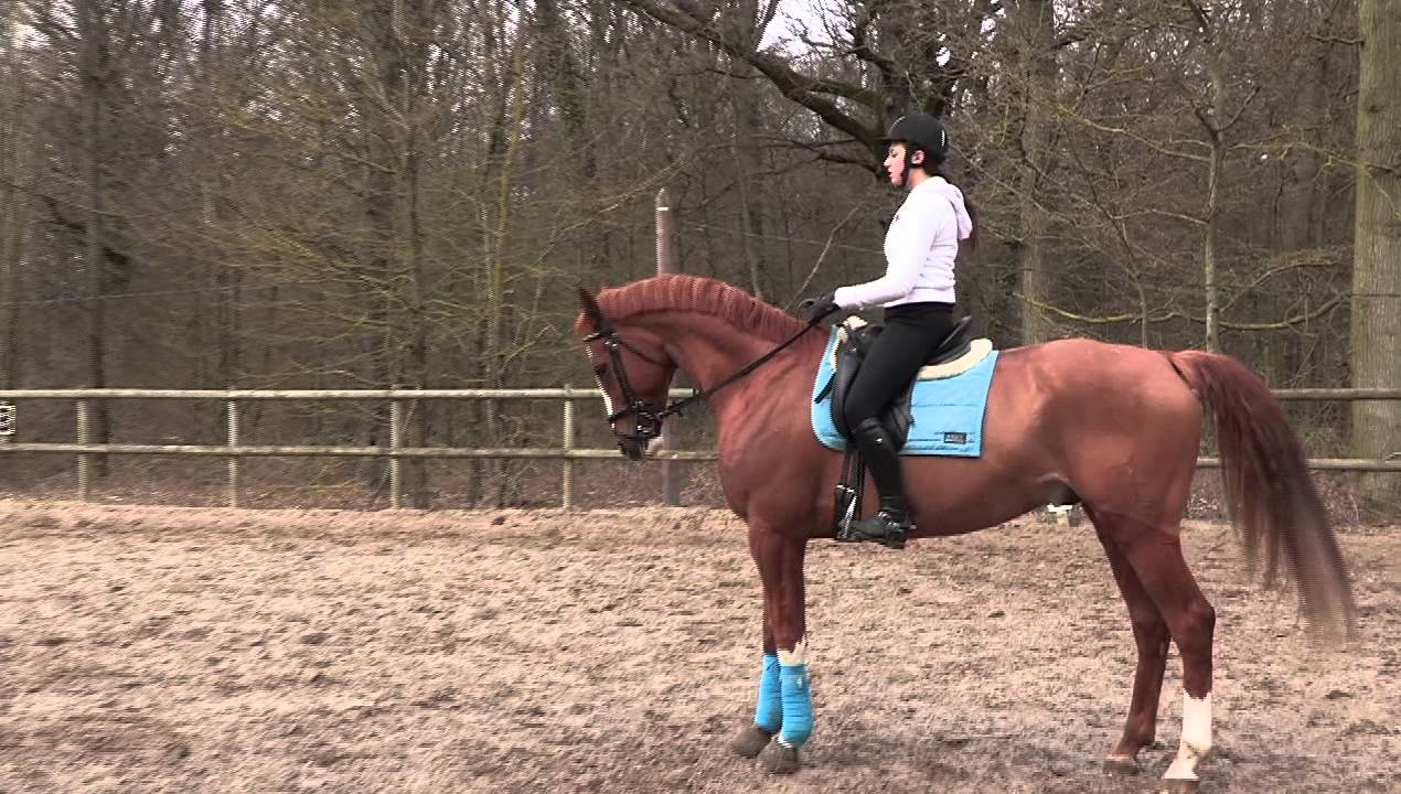 LA LEÇON D'ÉQUITATION D'IRIS LANTELME