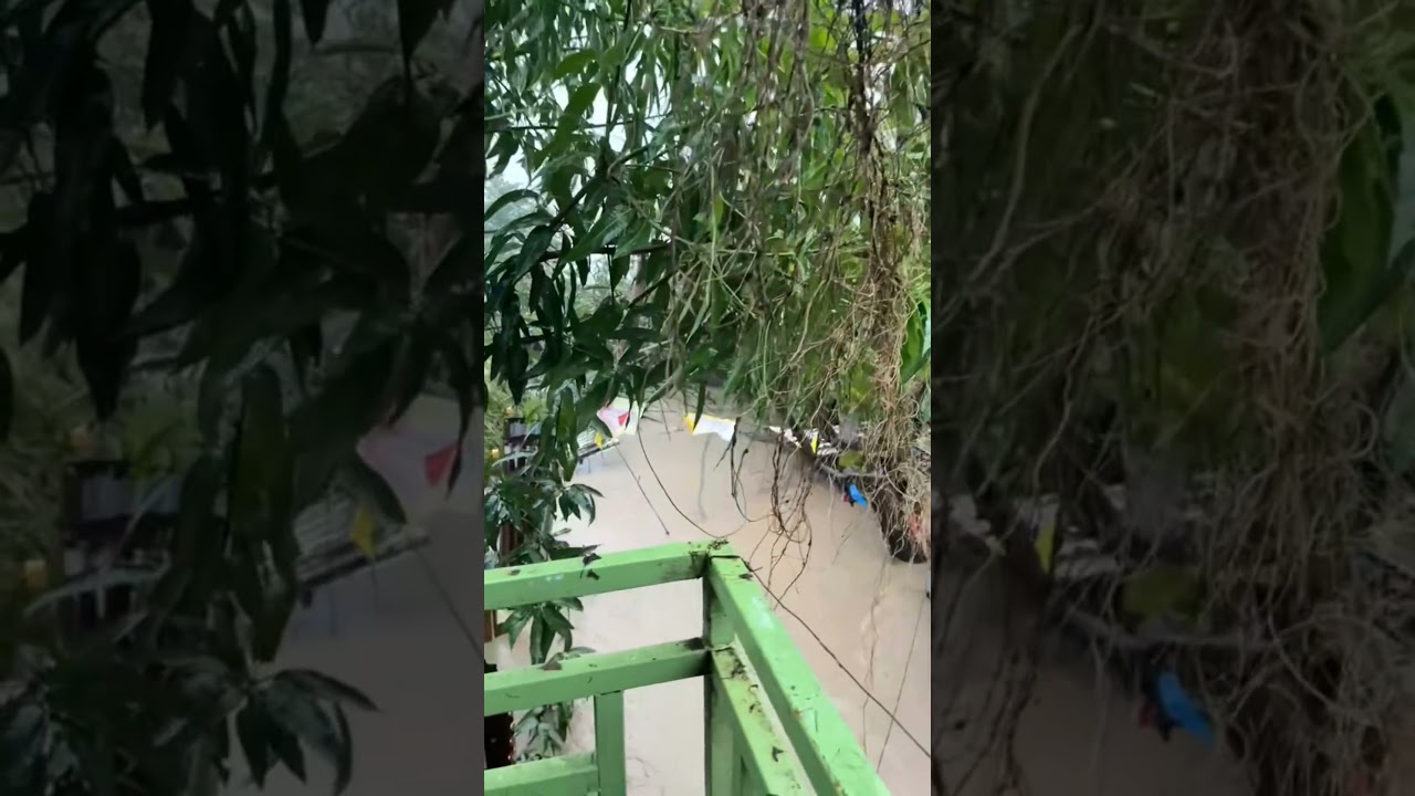 Unbelievable floods caught on camera #viral #trending #floods #flood #Disaster #nature #viral