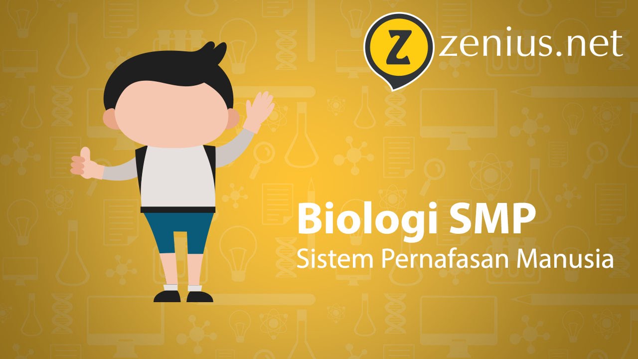 Sistem Pernapasan Manusia