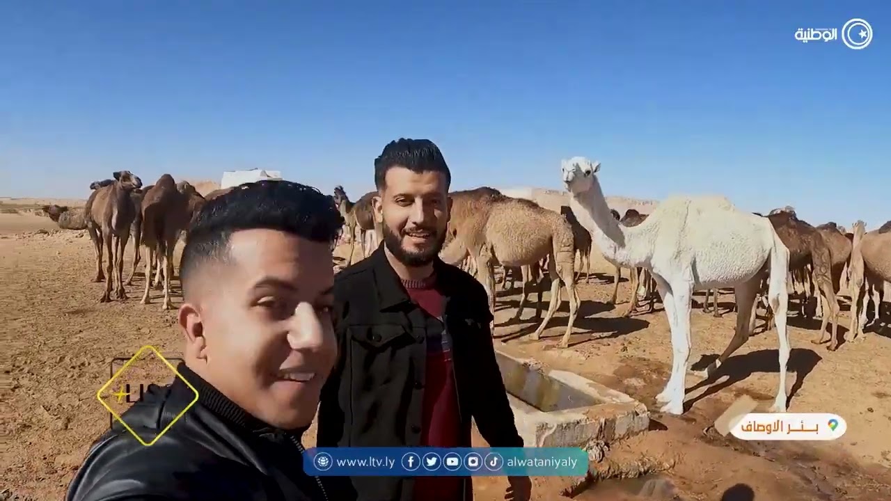 برنامج بلاد العز من داخل مدينتي بدر وتيجي الصيعان