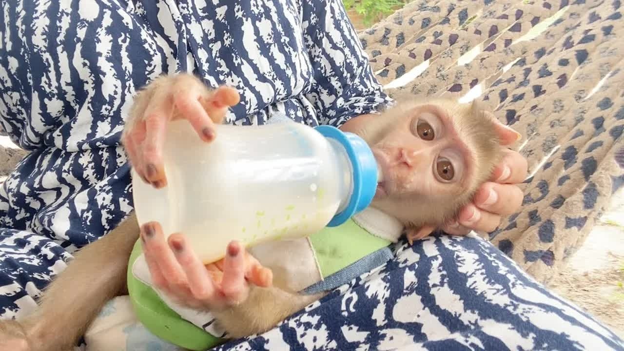 DAM Very Peaceful Sleep On Mom's Lap Satisfying Drink Milk
