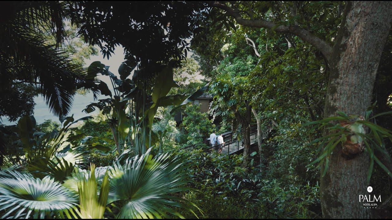 Préservons ensemble la beauté du Sud de La Réunion en accomplissant ces éco-gestes.