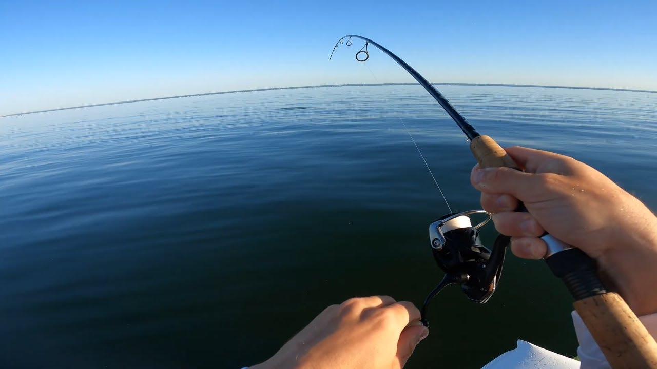 Trying to capitalize on early season fluke in the western sound