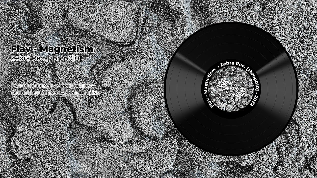 Flav - Magnetism • Zebra Rec. [ZBREP010] • 2022