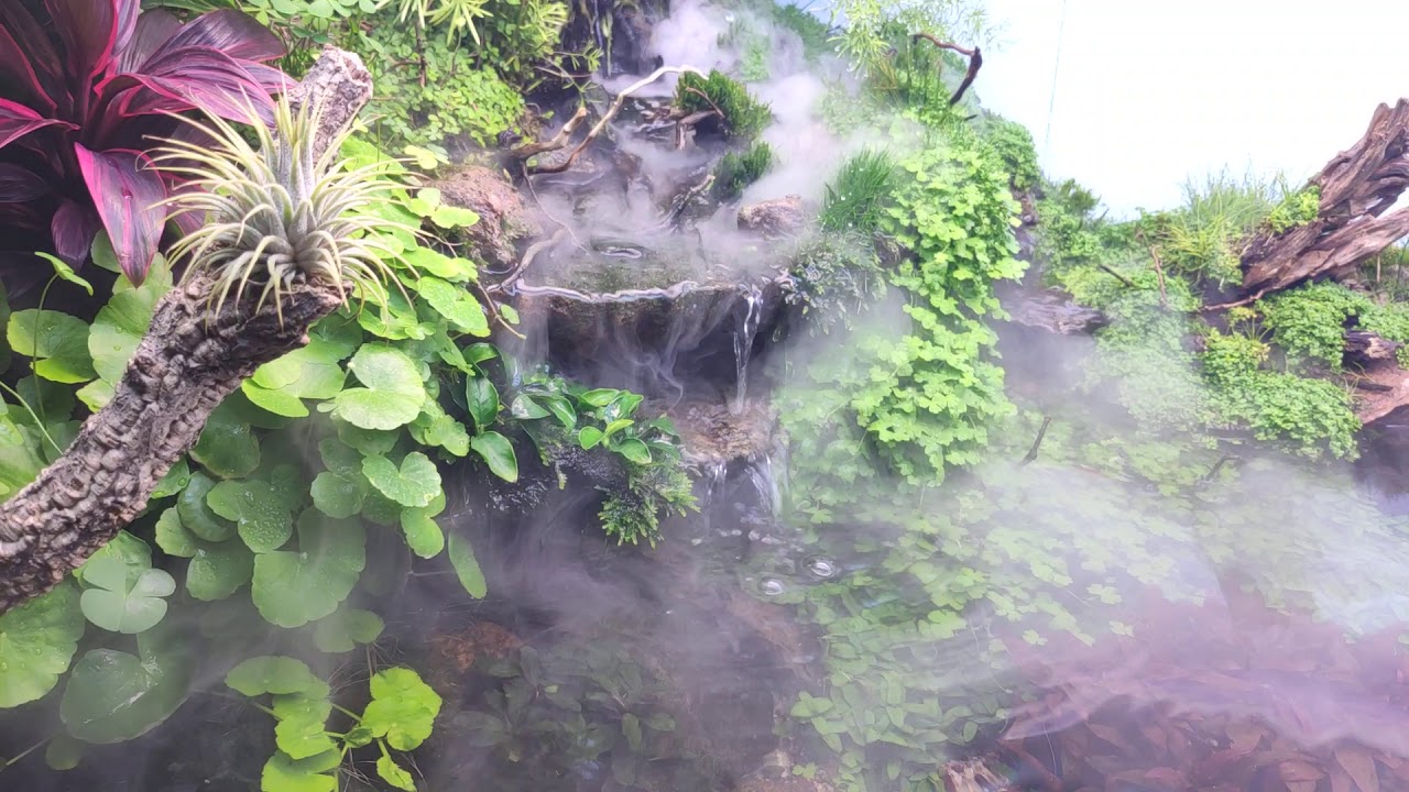 Ember Valley (my nature style paludarium at September 2019)