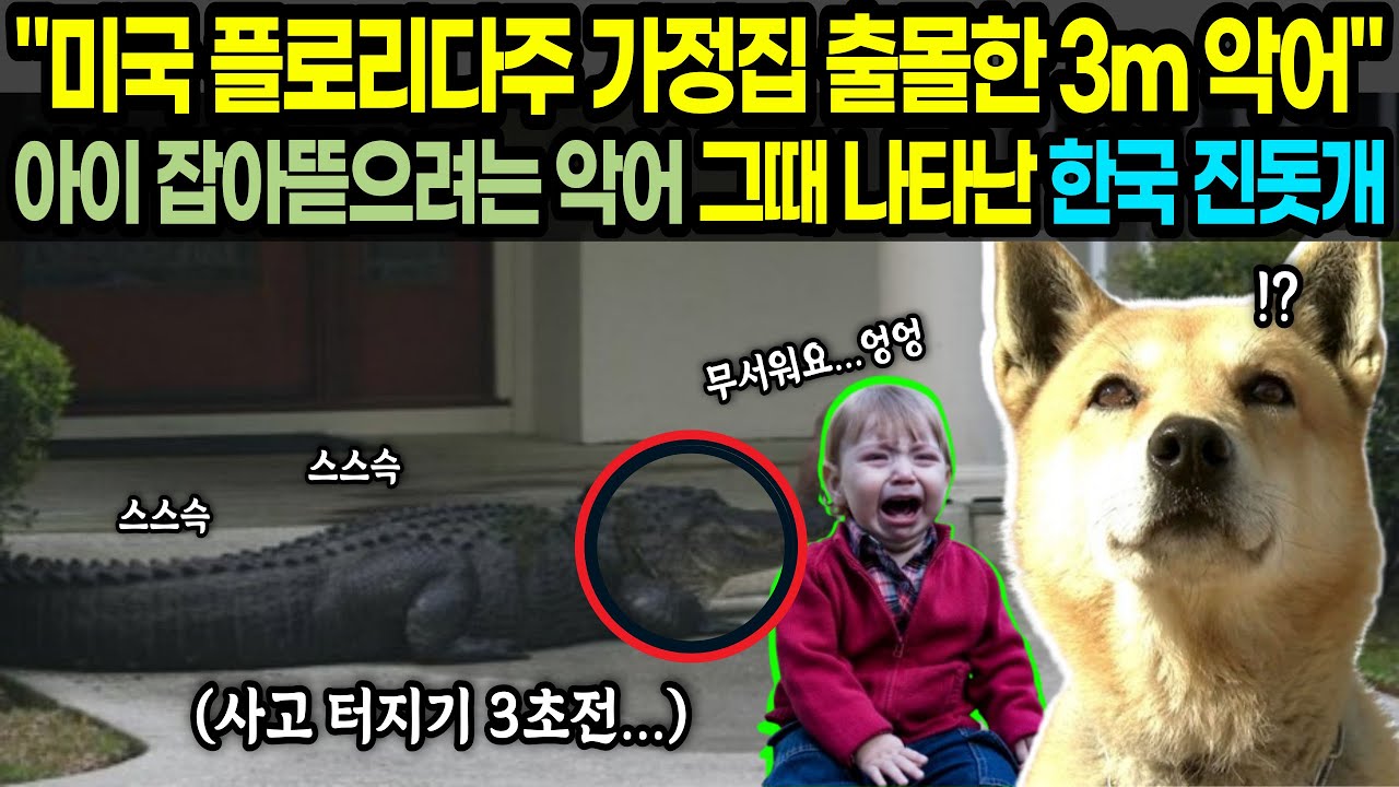 [해외감동사연] 