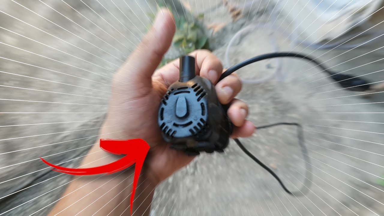 DICA MANUTENÇÃO DE BOMBA RECALQUE DE AQUÁRIO!