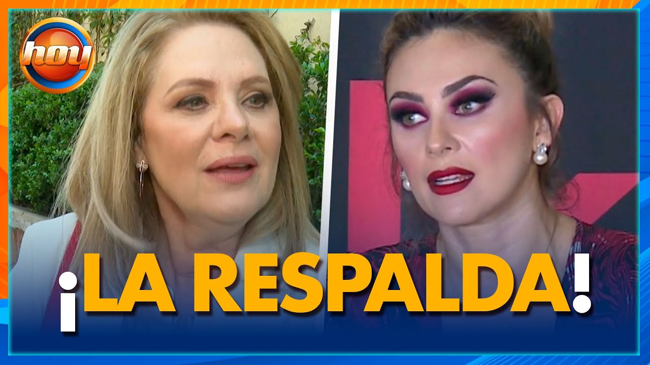 Erika Buenfil apoya a Aracely Arámbula en PROTEGER de la identidad de sus hijos | Programa Hoy