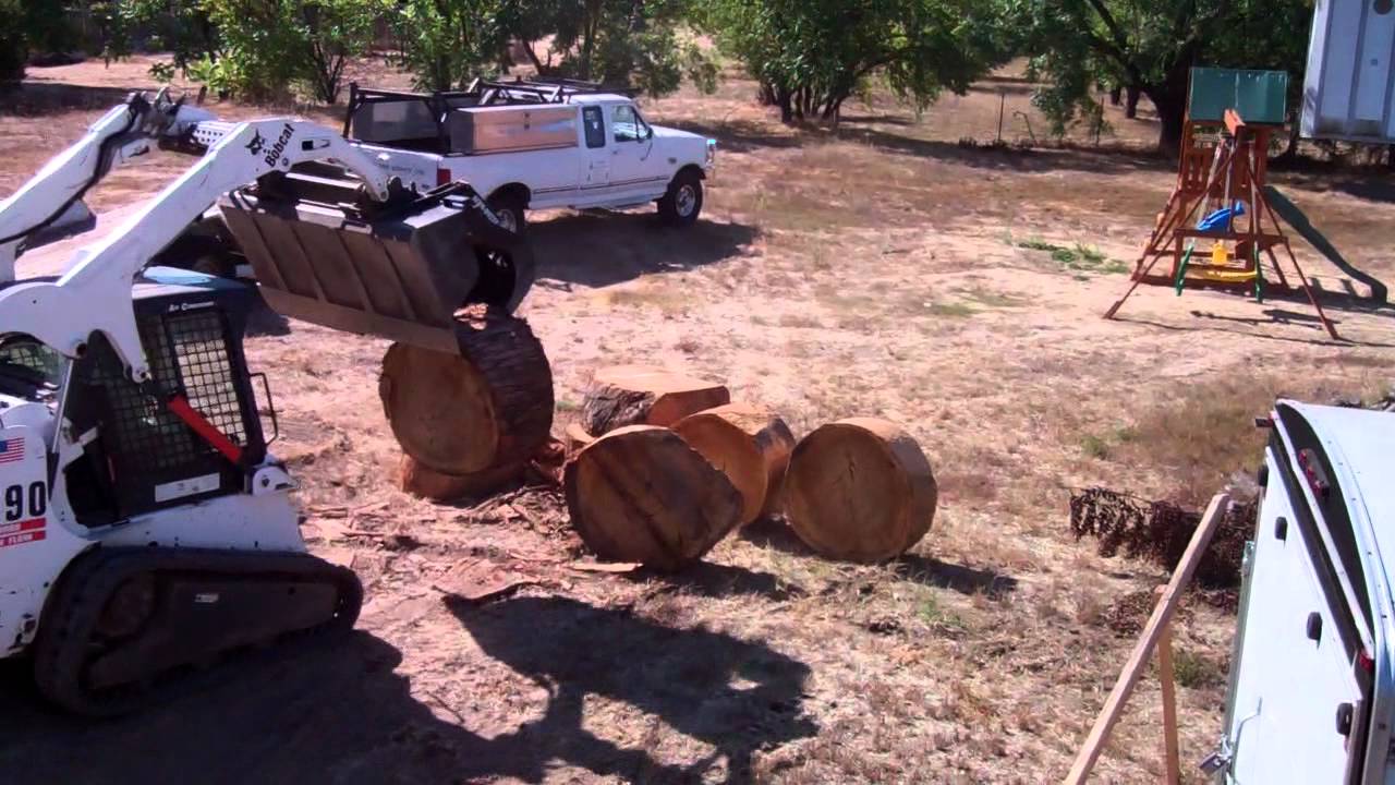 DEMO-DOZER SKID STEER BEST GRAPPLE ATTACHMENT MOVING LARGE EUCATYPTUS ROUNDS