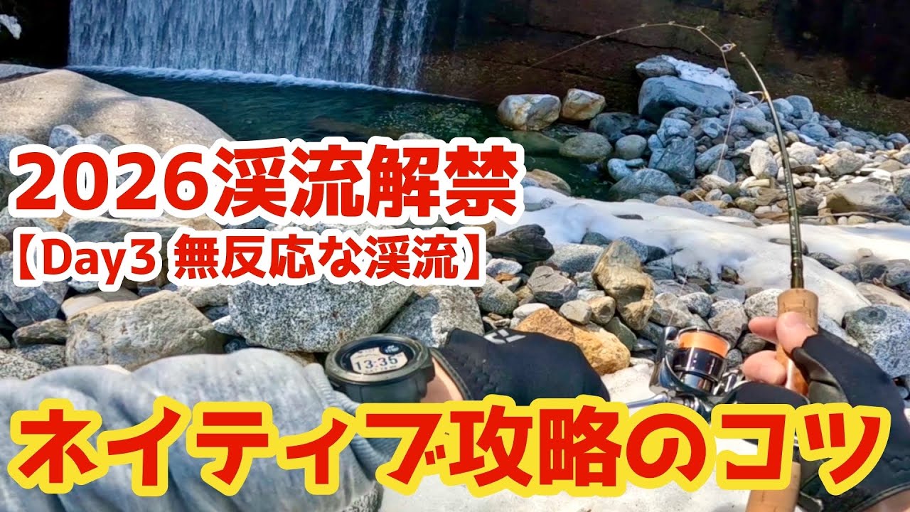 【2026渓流解禁Day3】ネイティブ攻略のコツ｜無反応な渓流編　#渓流ルアー #渓流釣り #渓流ルアー初心者 