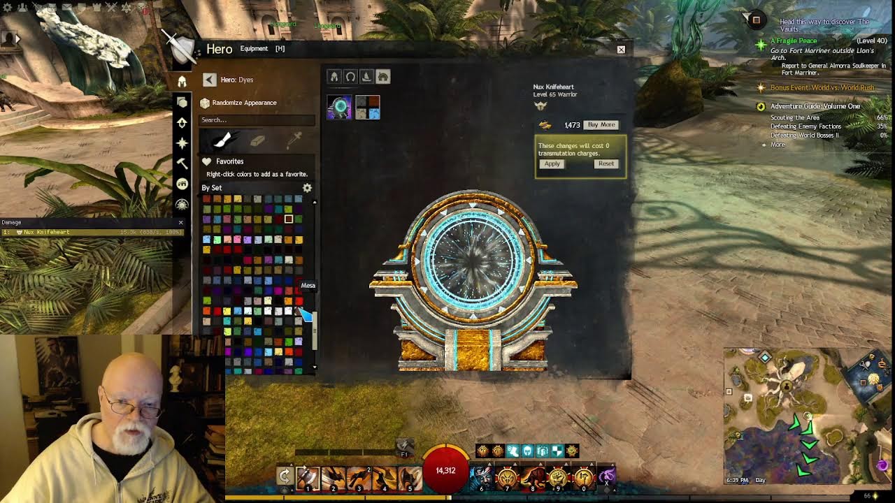 Guild Wars 2--More levels!