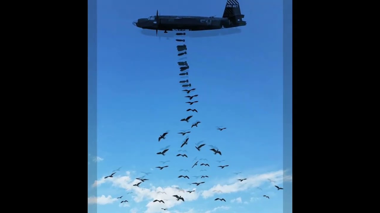 Herkesin aradığı ıslık fon m&uuml;ziği (lay lay lay) POLYUSHKA POLYE m&uuml;ziğinin ıslık versiyonu