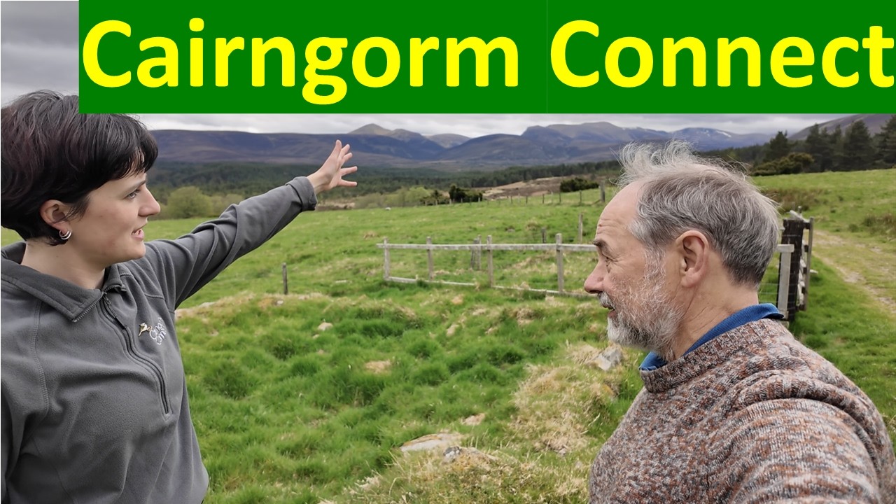 Restoring nature at scale: the Cairngorm Connect Vision