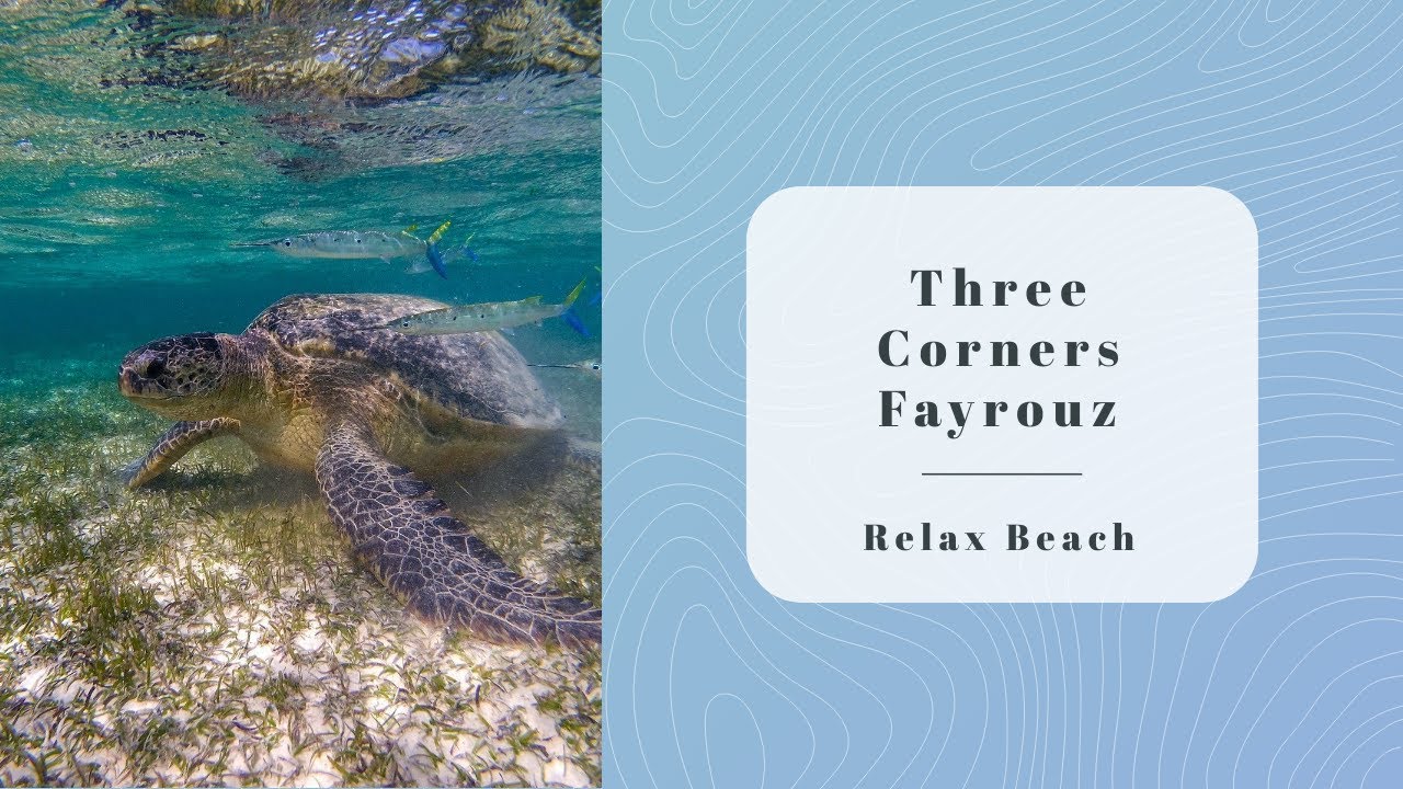 Three Corners Fayrouz Relax Beach Snorkeling