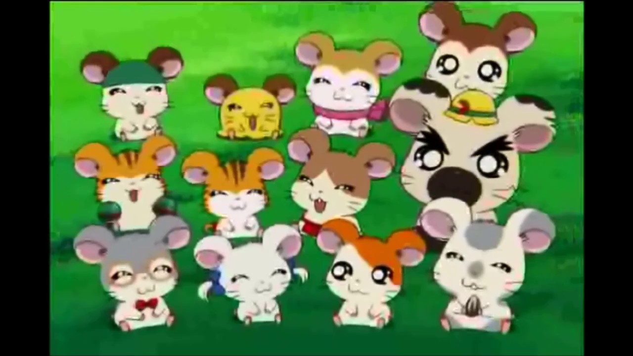 Hamtaro Birthday Tribute