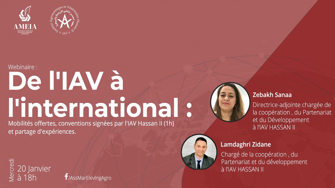 Conférence : De l'IAV à l'international #AMEIA