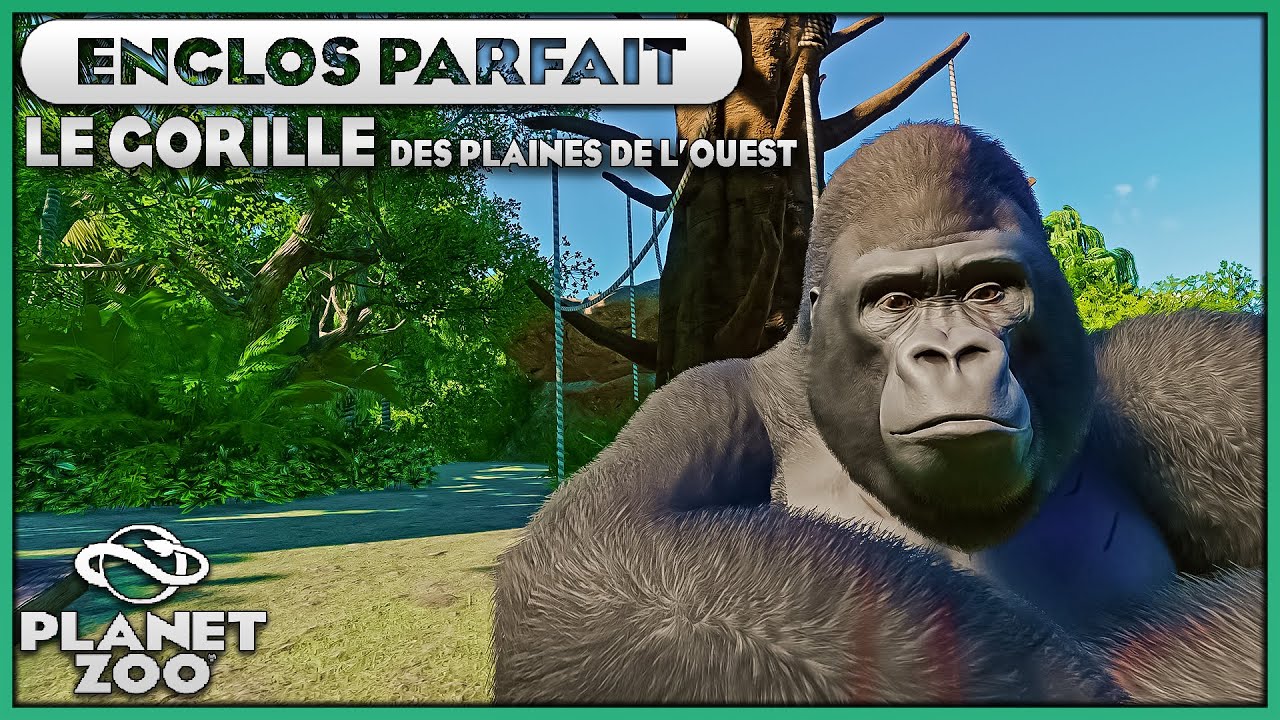 Les Gorilles des Plaines de l'Ouest | LES ENCLOS PARFAITS : EPISODE 25 | PLANET ZOO
