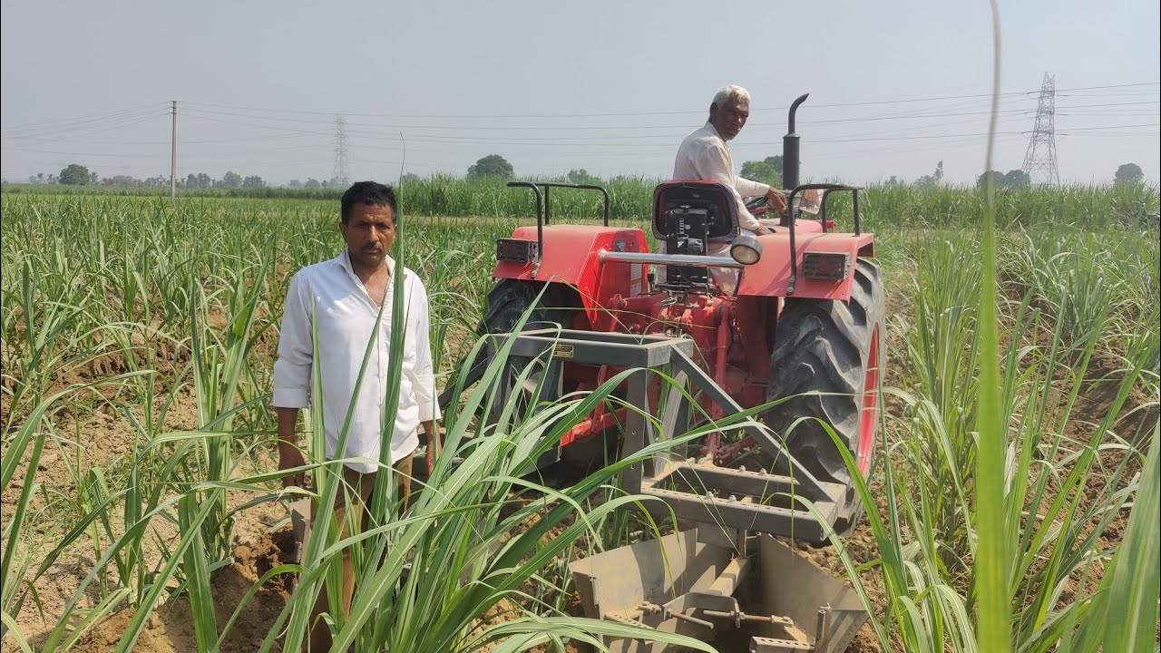 44 इंची ट्रेंच विधि द्वारा गन्ना बुवाई पर आज चाचा करणवीर सिंह ने चढ़ाई बड़े ट्रैक्टर द्वारा मिट्टी