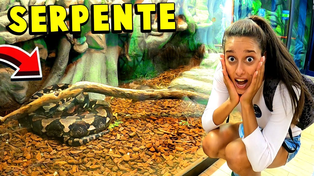 IL SERPENTE PIÙ GRANDE DEL MONDO!!