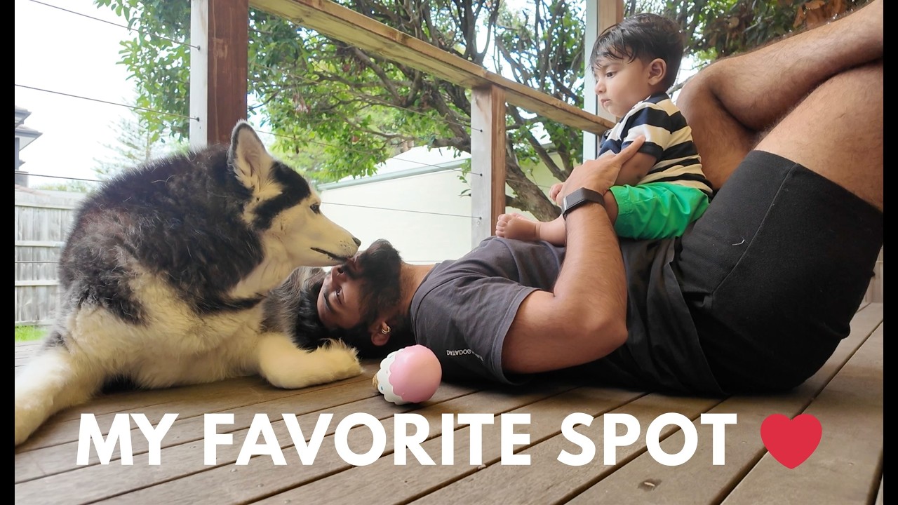 Pure Family Day: Balancing WFH, Toddler, & Dog