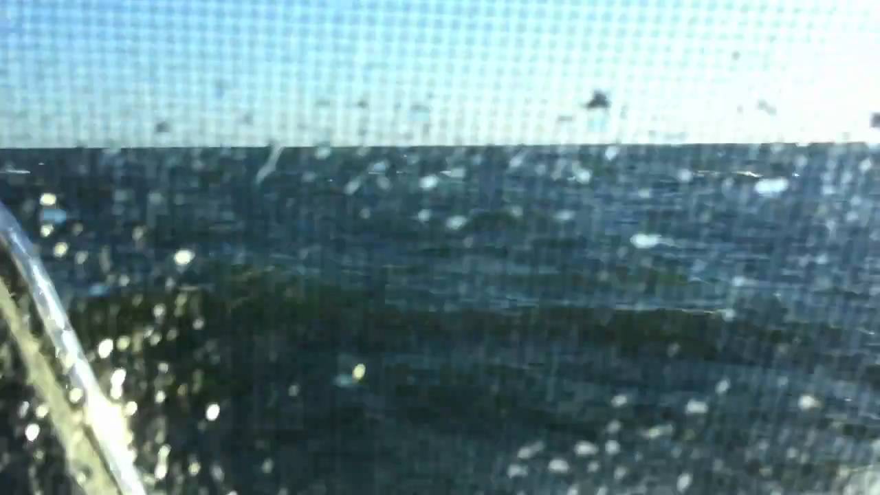 Buzzards Bay 34 power catamaran rough seas