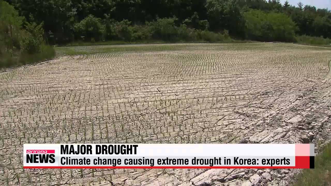 Korea suffering from worst drought in decades 

124년만의 대가뭄 ′주기설′ 진입론도 등장