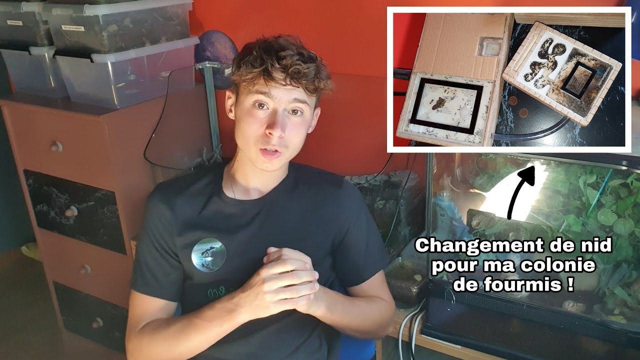 JE DÉMÉNAGE MA COLONIE DE 