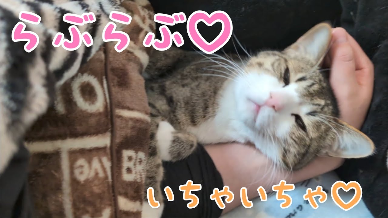 朝の大事なふたり時間。vol.1506