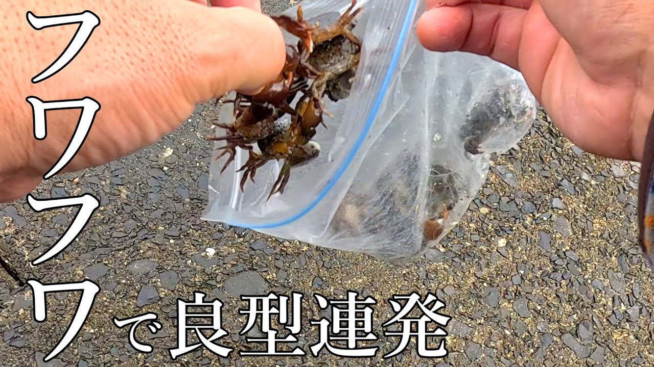 【カニのフワフワ釣り】