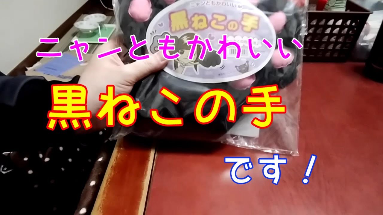 噛みつき！ひっかき防止！に黒ねこ手袋買いました。 #24 #七七七 #進めーねこにゃん