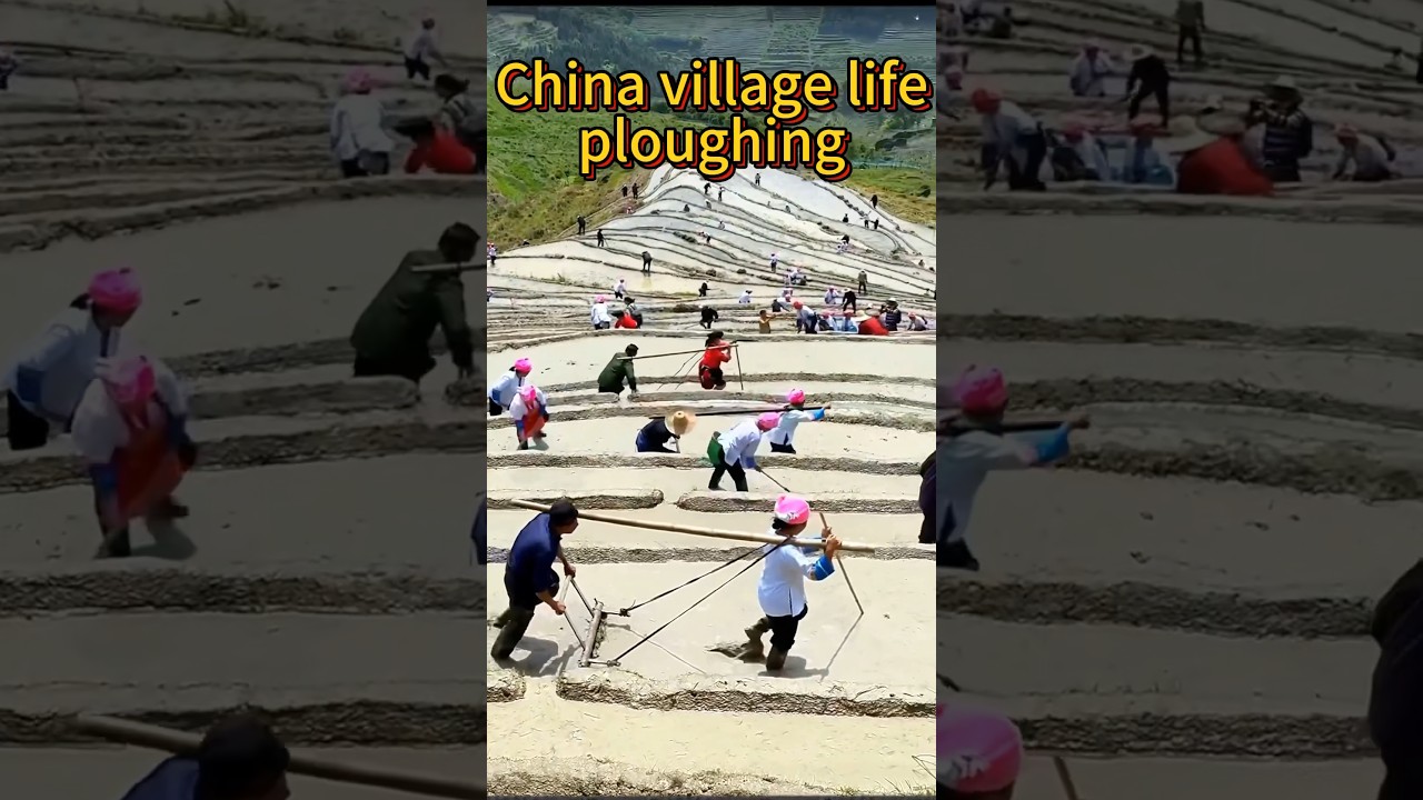China village life,farmers daily life #china #chinalife #ruralchina