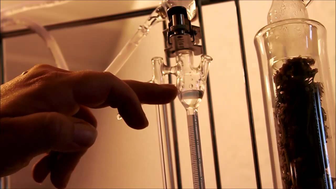 Destillation von ätherischen Ölen mit einer Glasdestille