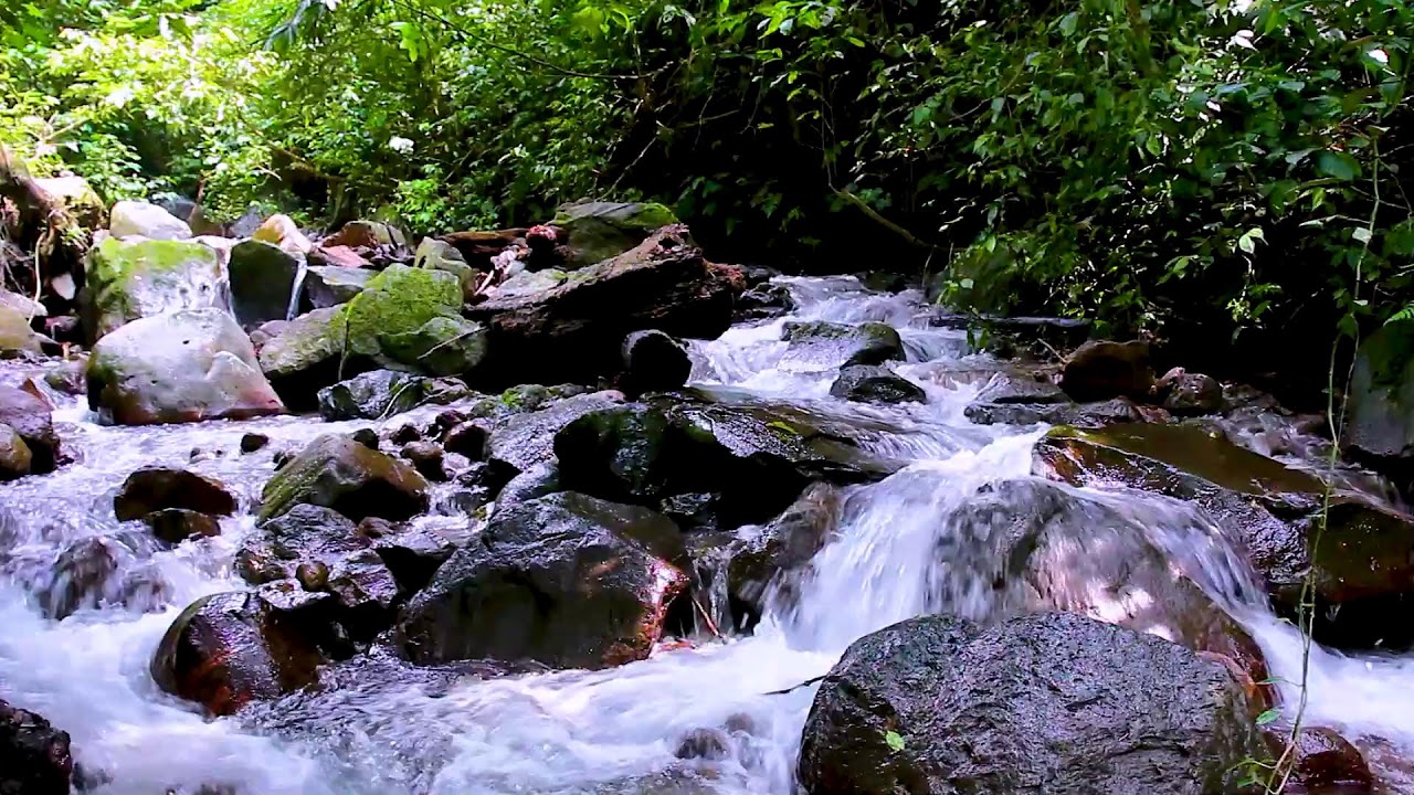 Mountain River Flowing Water Sounds for Stress Relief and Deep Relaxation Therapy