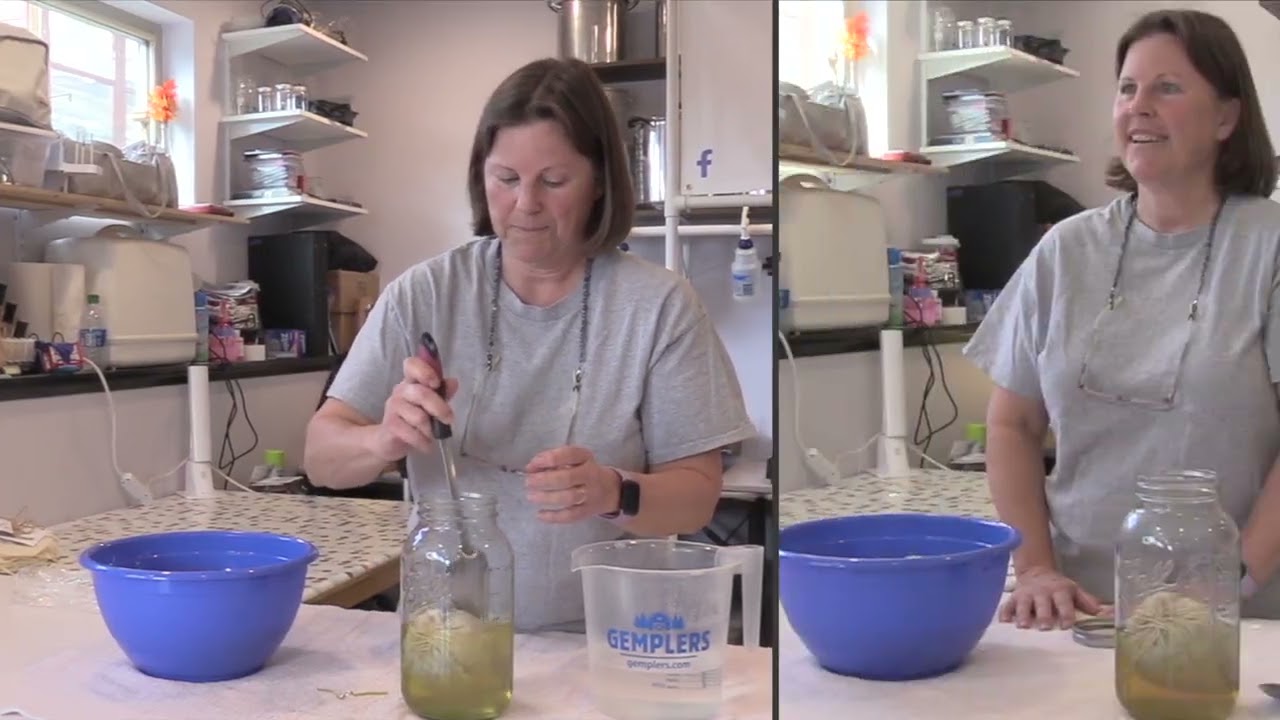 Solar Dye Kit Tutorial | Step-by-Step Natural Dyeing with Plants