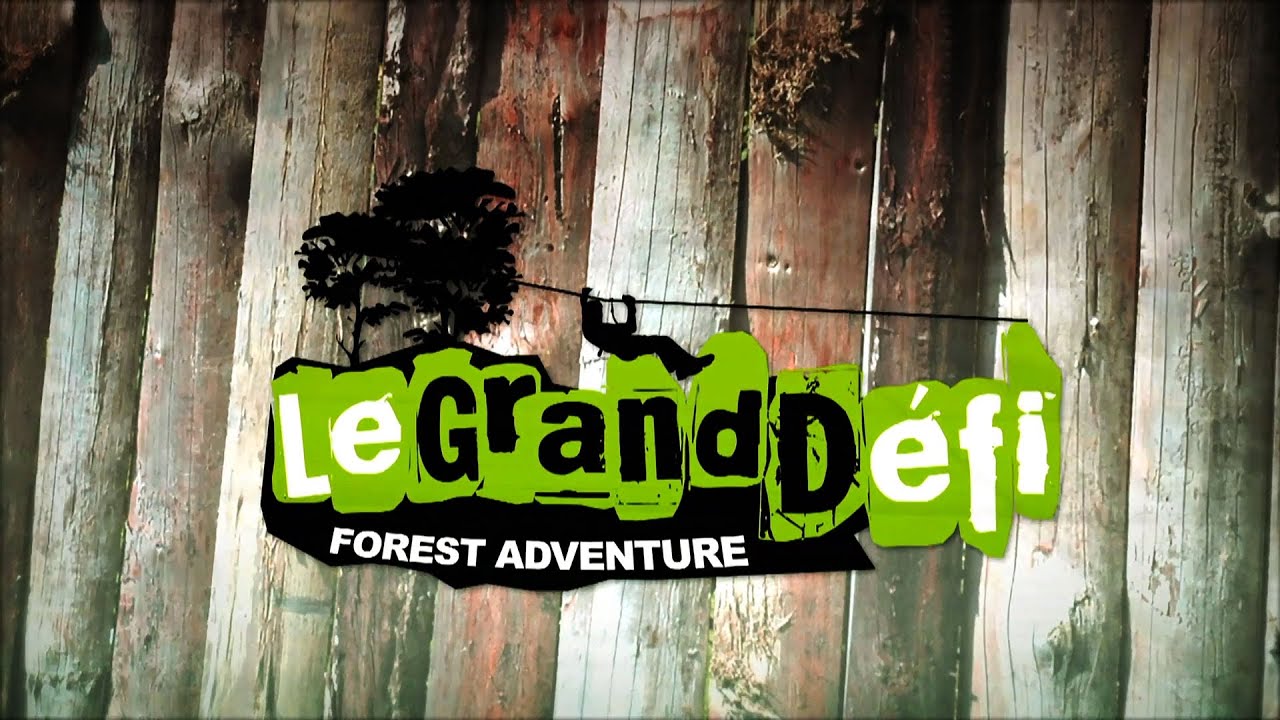 Le grand Défi (accrobranche) à St Julien (85) by dsp /2011