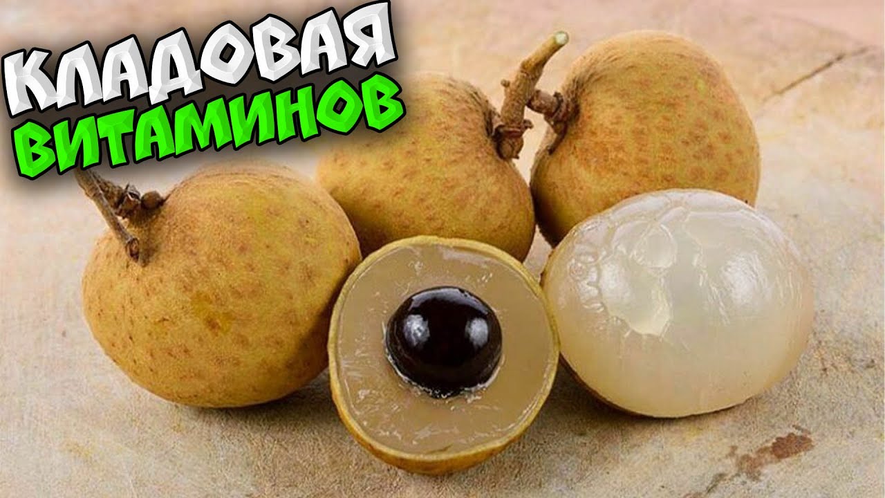 ЧЕМ ПОЛЕЗЕН ЛОНГАН