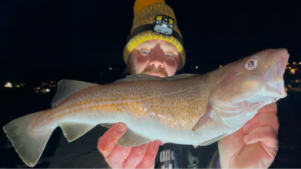 COD FISHING KICKED OFF in ANGLESEY❗️ U.K. Sea Fishing
