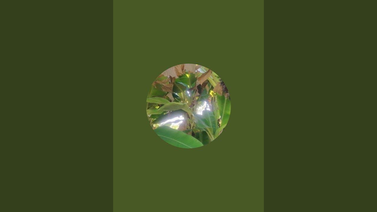 Shramajeevi Raitha is live!
