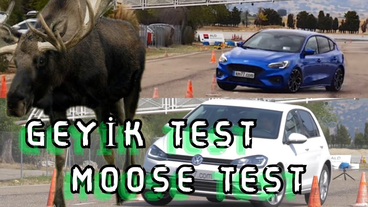 FORD FOCUS ! V S !  VW GOLF - MOOSE TEST - GEYİK TEST
