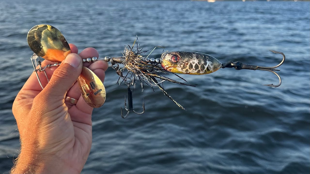 Muskys Crushing Bucktails!! - September Musky Fishing 2023