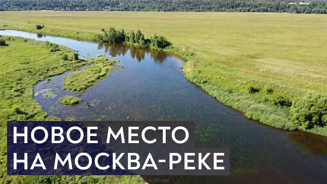Голавли отрывают жуков и гнут крючки. Нахлыст в Подмосковье.